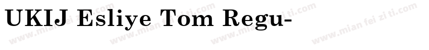 UKIJ Esliye Tom Regu字体转换